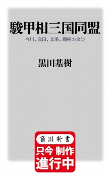 駿甲相三国同盟 今川、武田、北条、覇権の攻防