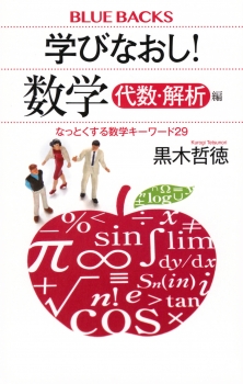 学びなおし！　数学　代数・解析編　なっとくする数学キーワード29