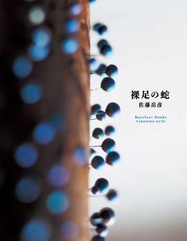 裸足の蛇　Barefoot Snake